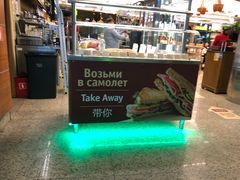-谢列梅捷沃国际机场