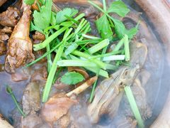 -霞姐屯昌枫木香草鸭店(海螺店)