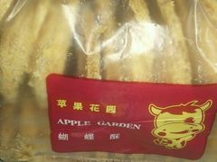 -苹果花园(鞍山路店)