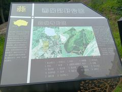 -白水寺森林公园