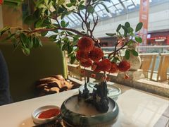 -奔跑吧陕菜·盛世长安(民乐园万达店)