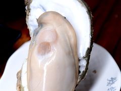 -烧蠔帮·生蚝海鲜牌档(观海店)