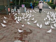 -国色天乡三期陆地乐园