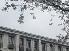 -武汉大学-樱园