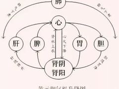 -御灸堂古法艾灸(东坝店)