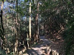 -武夷山风景名胜区-虎啸岩