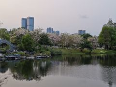 -四海公园(南山区)