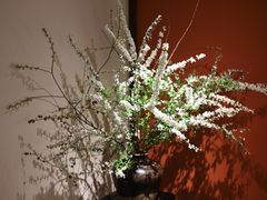 -江南小菜(东辰御龙湾店)