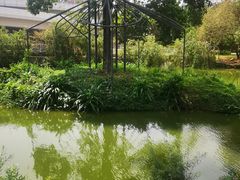 -人民公园(罗湖区)