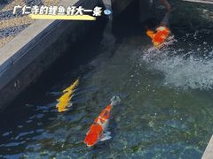 -西安市广仁寺