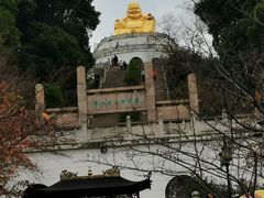 -苏州上方山国家森林公园