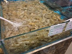 -渡海小渔村.老辈日照菜