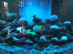 -碧中海汤泉汗蒸酒店