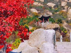 -北京凤凰岭