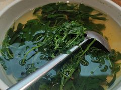 -滇铺子·云南特色菜·第九届野生菌美食节(东风东路c86店)
