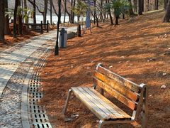 -浙江农林大学(东湖校区)