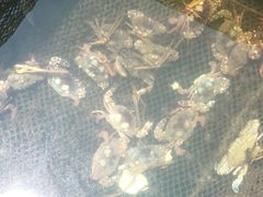 -海上驿站渔家菜馆