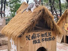 -沂蒙山旅游区云蒙景区(蒙山国家森林公园)