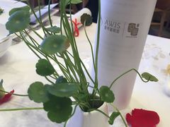 -京粤荟(海王银河科技大厦店)