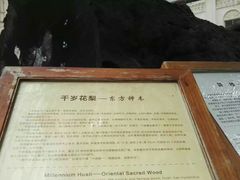 -海口骑楼小吃街