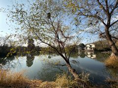 -新荣记(西溪湿地店)