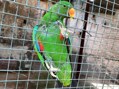 -森林公园(尖草坪区)