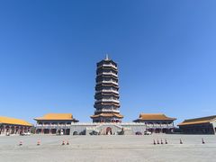 -金塔沙漠胡杨林景区