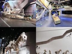 -武汉园博园(武汉自然博物馆)