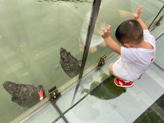 -杭州开元森泊度假乐园