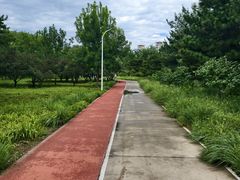 -绿堤公园