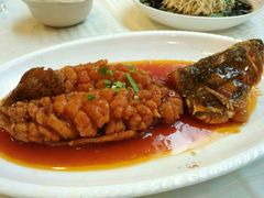 -怡园饭店-餐厅(四望亭店)