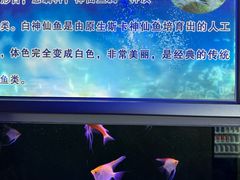 -嘉兴海底世界