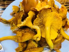 鸡油菌-菌之家·专业纯野生菌火锅·特色炒菌