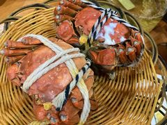 阳澄湖大闸蟹-蟹天蟹地农家菜·阳澄湖大闸蟹(浅水湾店)