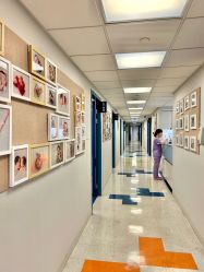 -杭州贝瑞斯美华妇儿医院·早孕·产检·儿科