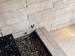 -泰之源足浴会所(玉环店)