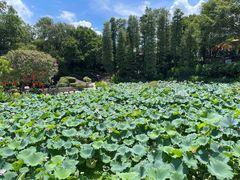 -广州莲花山旅游区