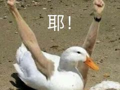 -品腐记·豆腐王朝(老门东总店)