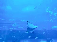 -南昌融创海世界