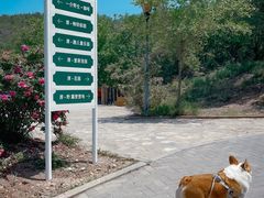 -潭柘厚院(桑峪村店)