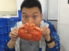 -蚝专家(北滘店)