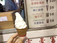 -富豪雪糕车流动点(尖沙咀店)