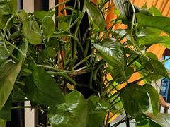 -二分八云雁阁•新晋菜大同味(长治路店)