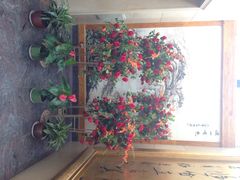iphone_upload_pic-卫鼎轩·家宴(水上公园店)