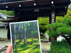 -西芳寺(苔寺)