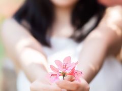 -木兰云雾山