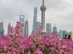 -北外滩滨江绿地