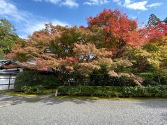 -西芳寺(苔寺)