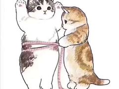 -豪客来牛排(文化路店)