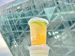 -1828王老吉·草本新茶(珠江新城地铁站店)